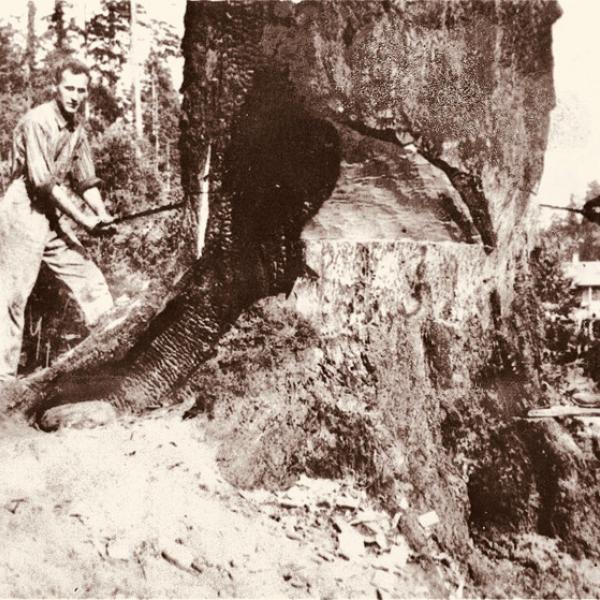 Pender Island Museum Historical Photography