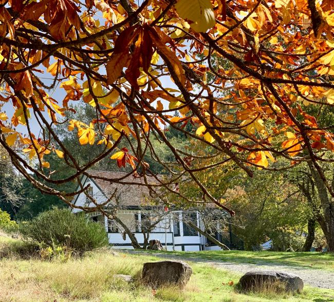 Pender Islands Museum fall colours at historic Roesland