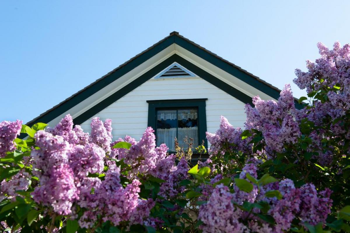 Roesland Farmbuilding Pender Island Museum in spring with Lavender