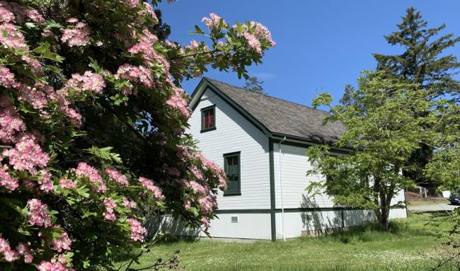 Museum in spring